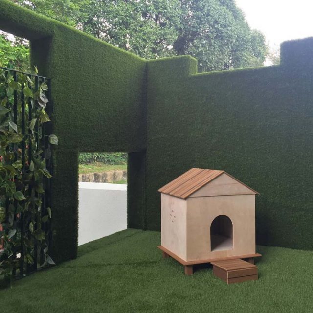 Artificial Grass for A Loved Pet
