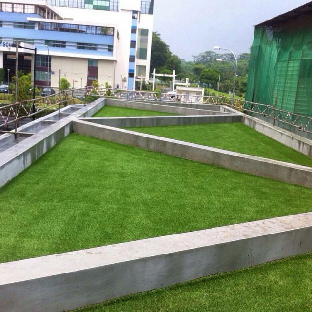 Artificial Grass on Rooftop