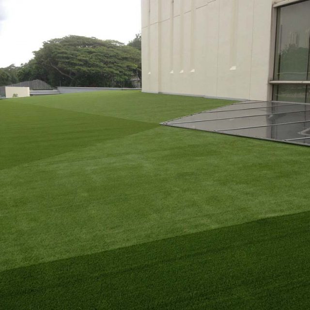 Artificial Grass on Rooftop