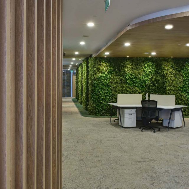 Artificial Vertical Garden Feature Wall in Office