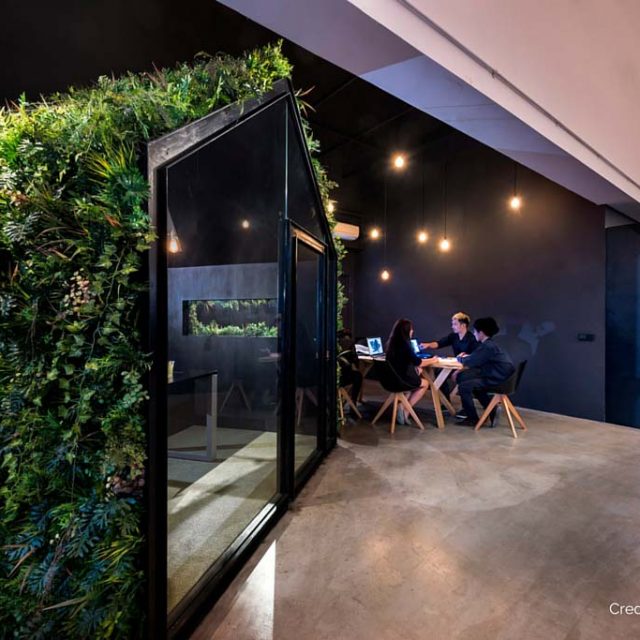 Artificial Vertical Garden as Wall Covering for Creative Office