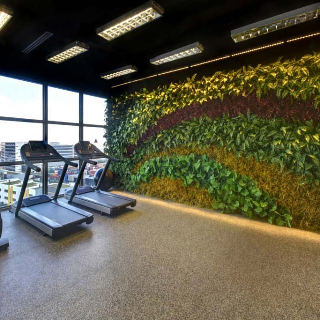Artificial Vertical Garden in Gym