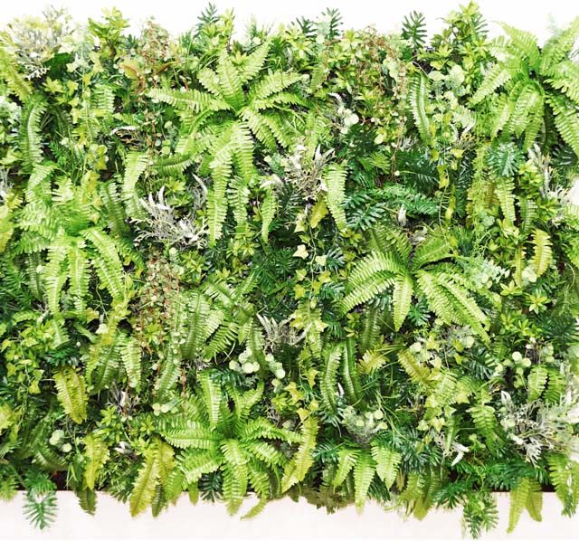 Indoor Vertical Garden