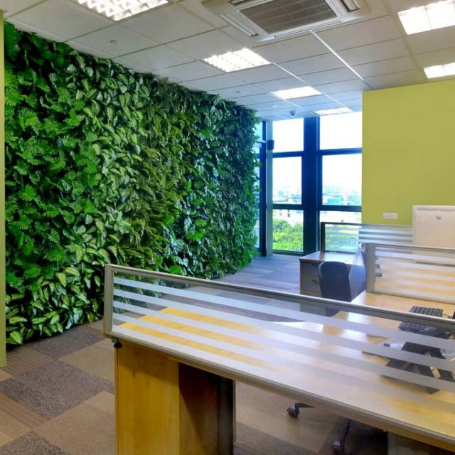 Office Feature Wall using Artificial Plants