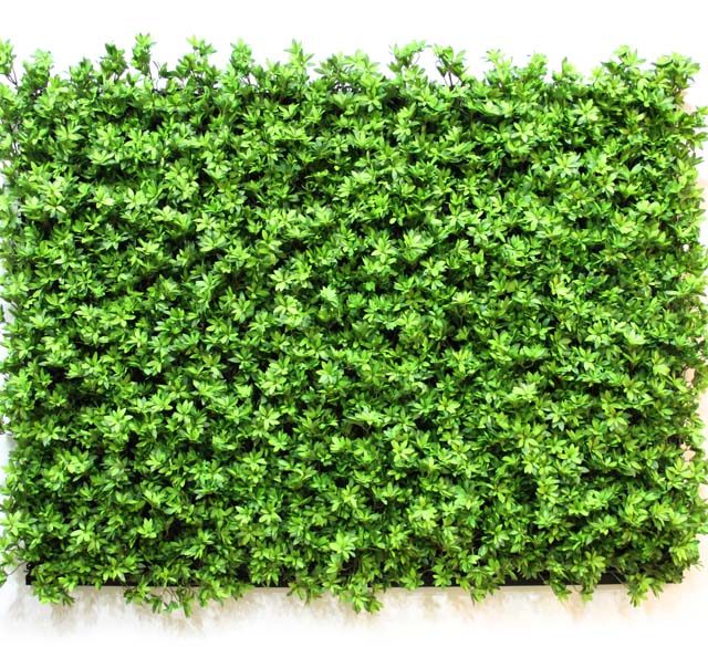 Outdoor Vertical Garden