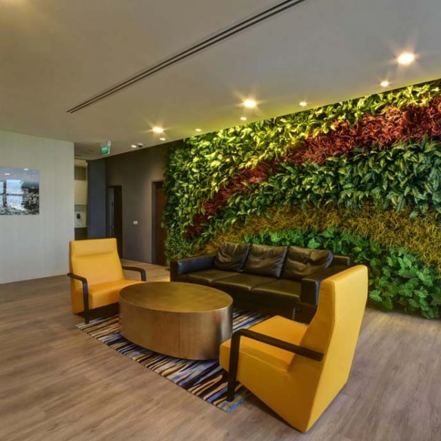 Reception Area Vertical Gardens