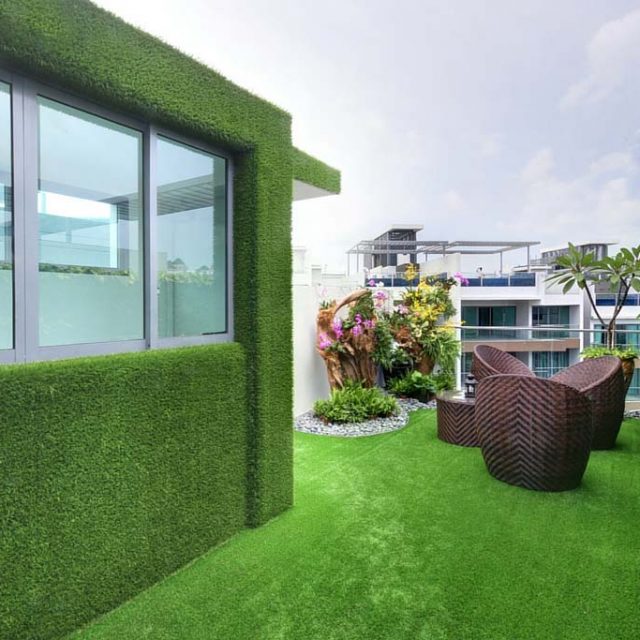 Rooftop House Clad with Artificial Grass