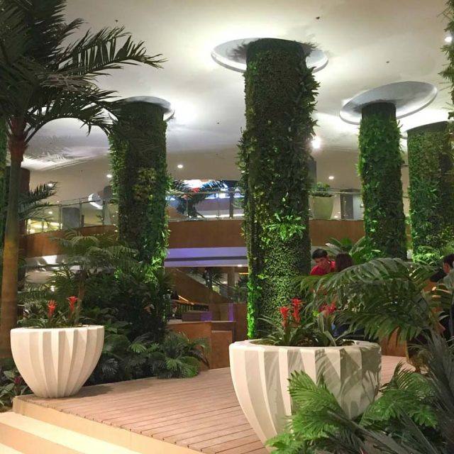 Tropical Look without the Maintenance