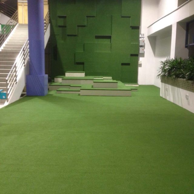 Wall Art with Artificial Grass