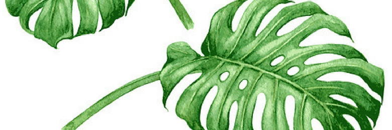 Artificial Green Wall Plant – Monstera Deliciosa