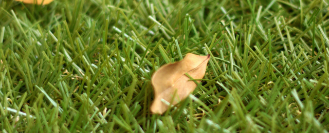 Four Things You Didn’t Know About Artificial Grass