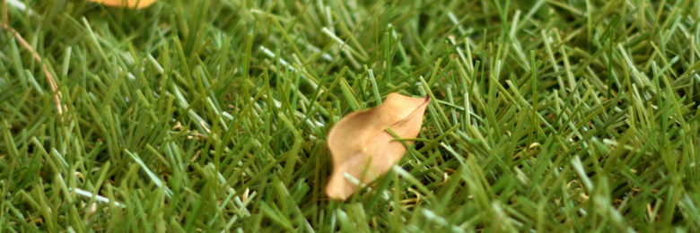 Four Things You Didn’t Know About Artificial Grass