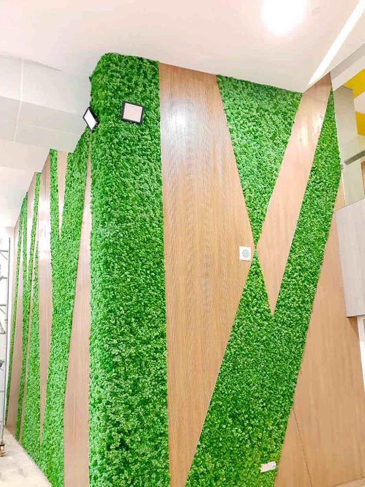 Preserved moss walls for ACRA