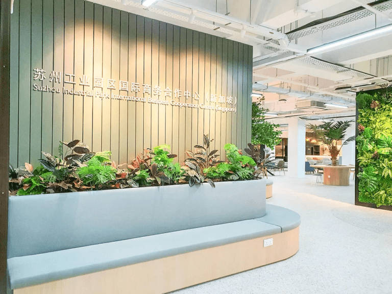 Can You Use Fake Plants for Feng Shui at Home or the Office?